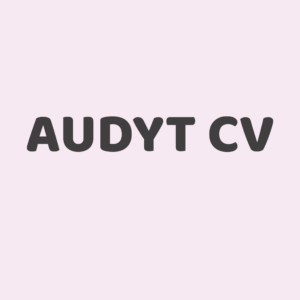 Audyt CV